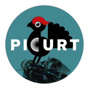 picurt-2014-624x624.png
