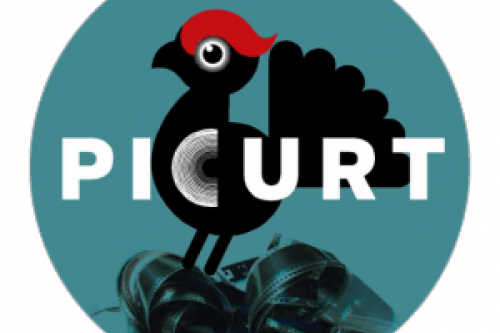 picurt-2014-624x624.png